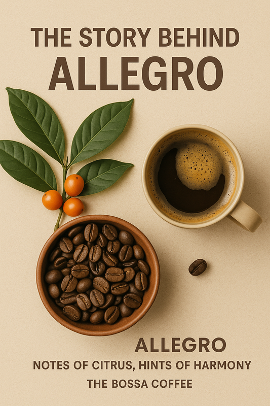 The Story Behind Allegro: Notes of Citrus, Hints of Harmony